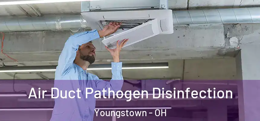 Air Duct Pathogen Disinfection Youngstown - OH