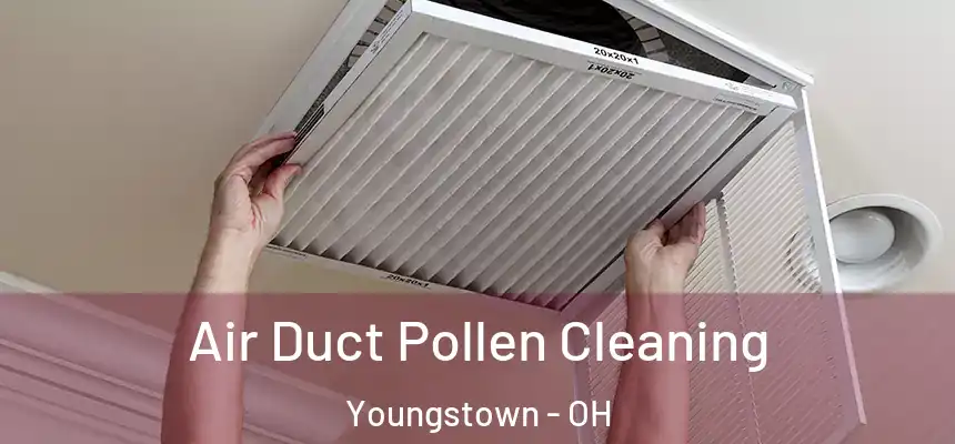  Air Duct Pollen Cleaning Youngstown - OH