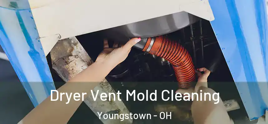 Dryer Vent Mold Cleaning Youngstown - OH