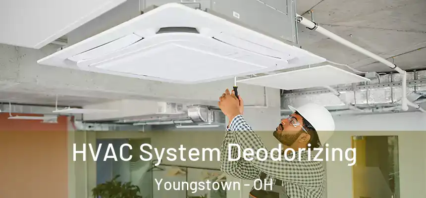  HVAC System Deodorizing Youngstown - OH