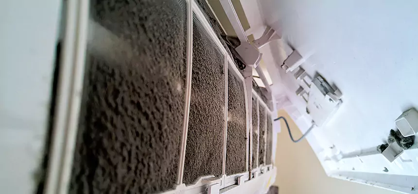 Preventive Air Duct Bacteria Removal in Youngstown