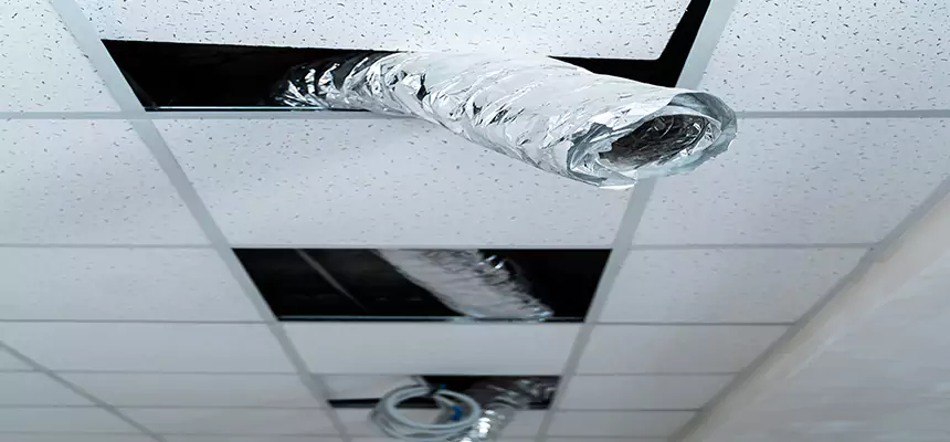 Affordable HVAC Sanitizing After Pest Removal in Youngstown