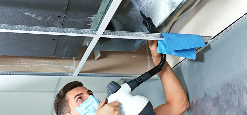 Our Air Duct Rodent Removal Services in Youngstown, OH