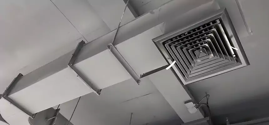 Restorative Allergy Relief Vent Cleaning – Coil, Blower & Housing Detail in Youngstown