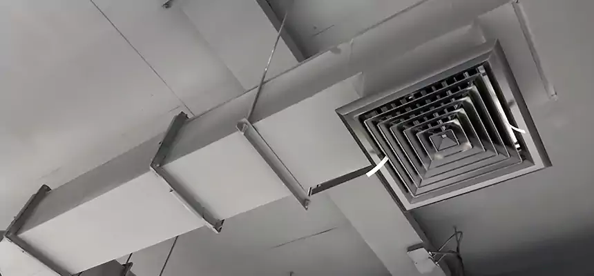 Our Rodent Droppings In Vents Services in Youngstown, OH