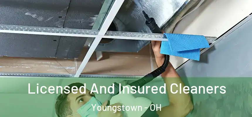 Licensed And Insured Cleaners Youngstown - OH