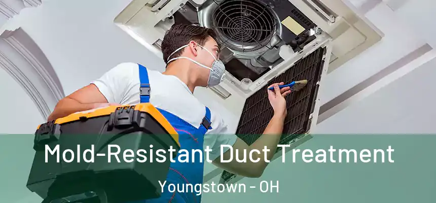 Mold-Resistant Duct Treatment Youngstown - OH