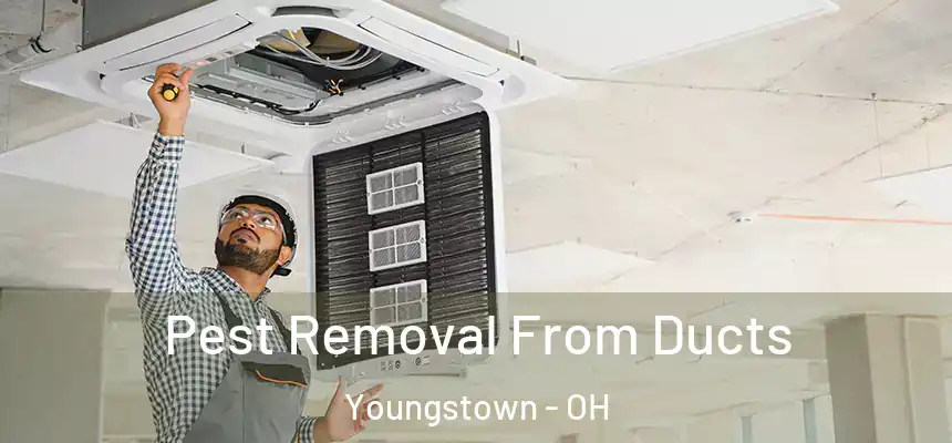 Pest Removal From Ducts Youngstown - OH