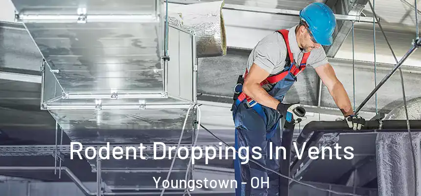 Rodent Droppings In Vents Youngstown - OH
