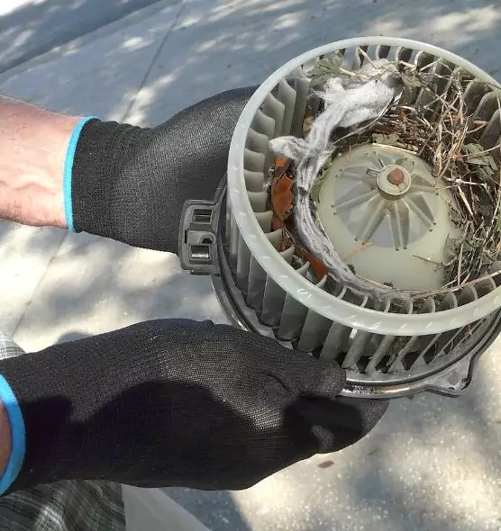 About Air Duct Rat Removal in Youngstown, OH