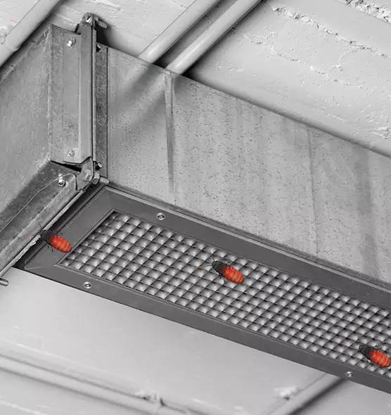 Affordable Insect Removal from Air Ducts in Youngstown, OH