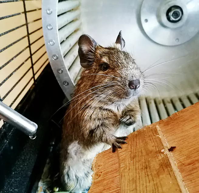 Why Homeowners & Businesses Trust Us Youngstown, OH?